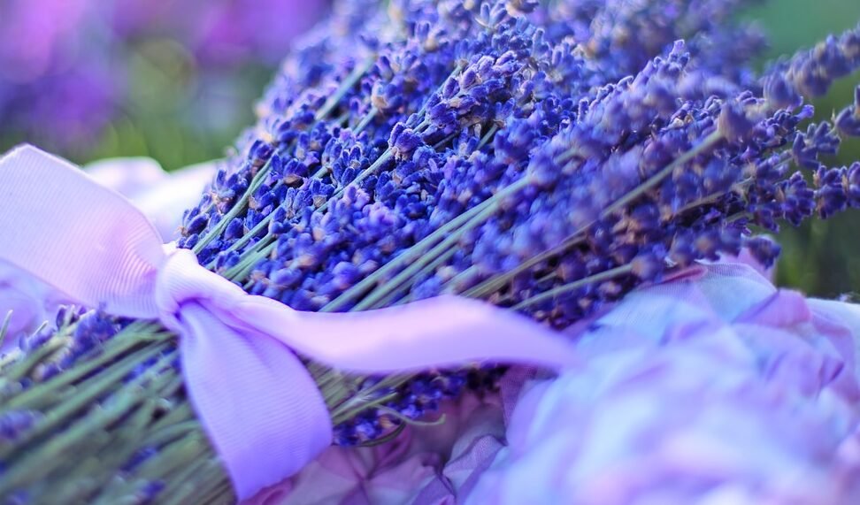 lavenders, flowers, bouquet-2482374.jpg