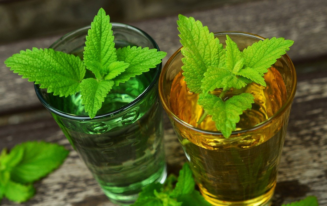 lemon balm, balm, herbs-770051.jpg