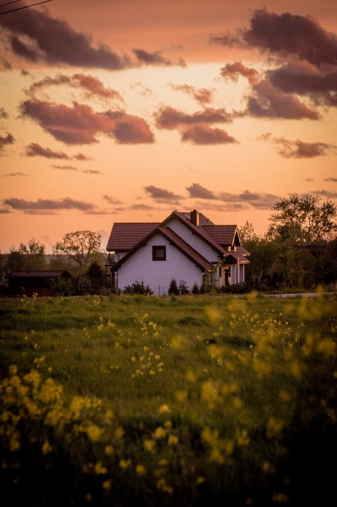 house, meadow, grass-6115719.jpg