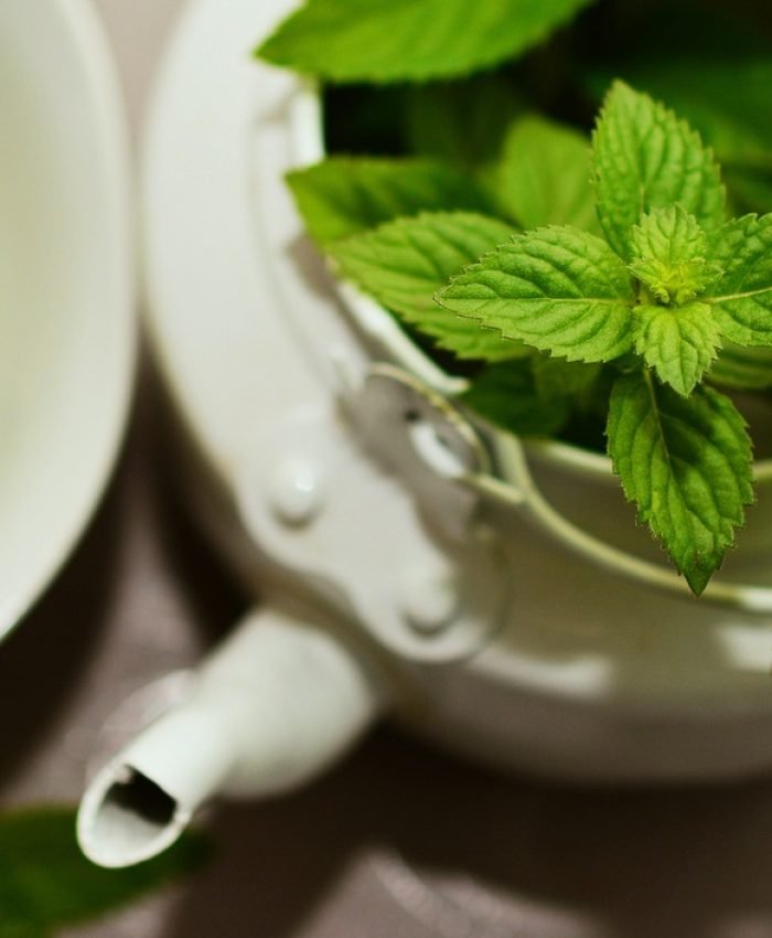 Magical Mint, Many Health Benefits